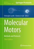   Molecular Motors