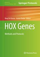  HOX Genes