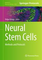   Neural Stem Cells