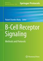 B-Cell Receptor Signaling