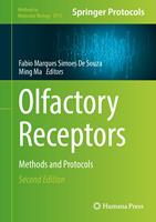   Olfactory Receptors