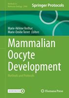   Mammalian Oocyte Development