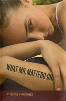   What Mr. Mattero Did