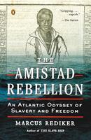   The Amistad Rebellion