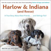   Harlow & Indiana (and Reese)