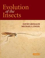   Evolution of the Insects