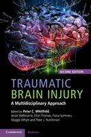   Traumatic Brain Injury