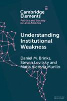  Understanding Institutional Weakness