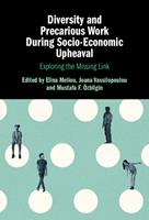   Diversity and Precarious Work During Socio-Economic Upheaval