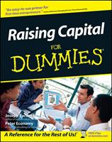  Raising Capital For Dummies