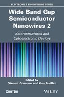 Wide Band Gap Semiconductor Nanowires 2