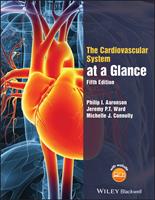   The Cardiovascular System at a Glance