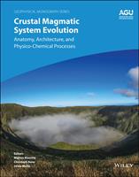   Crustal Magmatic System Evolution