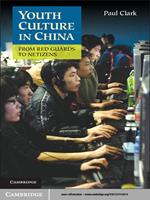   Youth Culture in China