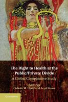   The Right to Health at the Public/Private Divide