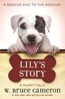   Lily's Story