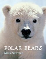   Polar Bears