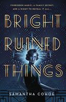   Bright Ruined Things