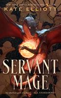   Servant Mage