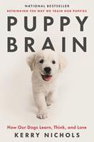   Puppy Brain