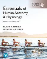   Essentials of Human Anatomy & Physiology, Global Edition