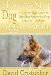 How to stop dog aggression. A step-by-step guide to handling aggressive dog behavior problem