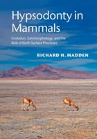   Hypsodonty in Mammals