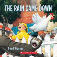   The Rain Came Down