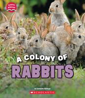   A Colony of Rabbits (Learn About: Animals)
