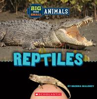   Reptiles (Wild World: Big and Small Animals)