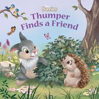 Disney Bunnies: Thumper Finds a Friend