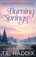 Burning Springs: A Small Town Women's Fiction Romance