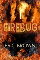   Fire Bug