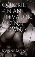   Quickie in an Elevator. Going down?