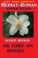   Heimat-Roman Sonder-Edition - Die Fehde am Bergsee