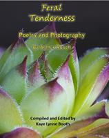   Feral Tenderness