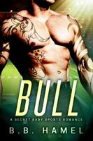 Bull: A Secret Baby Sports Romance