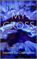 My Cross Journey to Conception