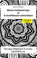 Meicnic chandamach agus an fo-chomhfhiosach comhchoiteann. Fisic agus metaphysics na cruinne. Léirmhínithe nua