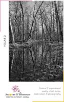   Auroras & Blossoms Creative Literary Journal: Issue 2