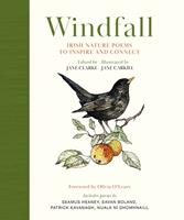   Windfall