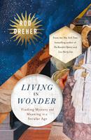   Living in Wonder