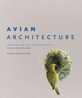   Avian Architecture