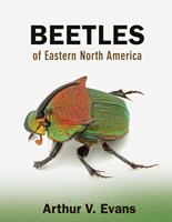   Beetles of Eastern North America
