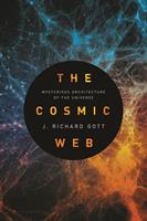   The Cosmic Web