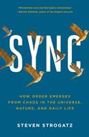   Sync