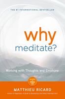   Why Meditate?
