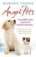   Angel Pets