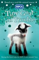   Tiny Goat in Trouble