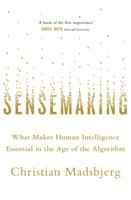   Sensemaking